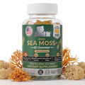 Irish Sea Moss Gummies