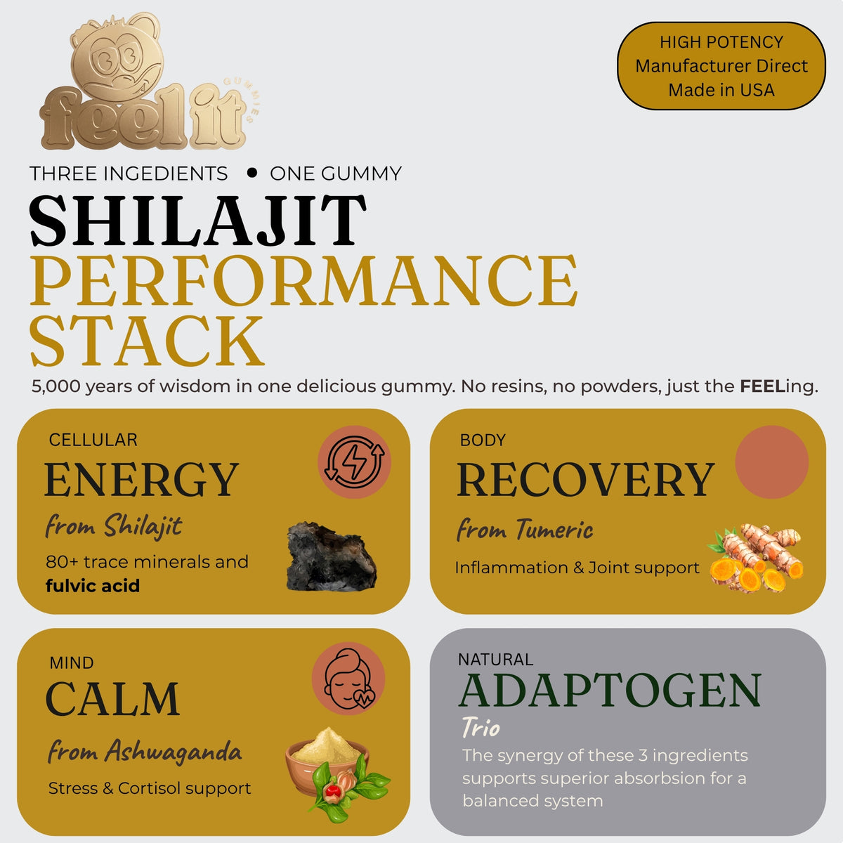 Shilajit+ Gummies
