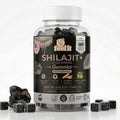 Shilajit+ Gummies